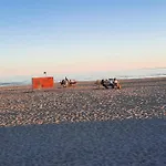 Romantiline Kesklinna Aia Taenava * Pärnu
